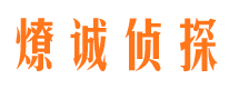 镇雄侦探